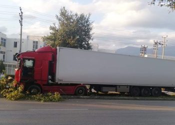 Bursa’da ağaçlar faciayı önledi