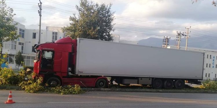 Bursa’da ağaçlar faciayı önledi