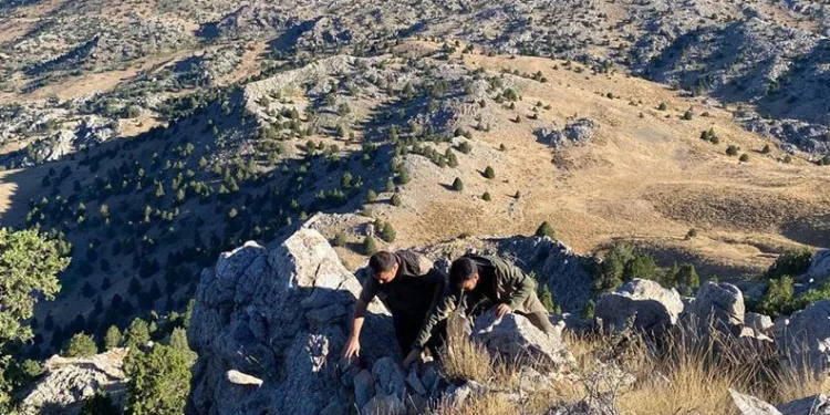 Kahramanmaraş’ta yasadışı avda kullanılan gümeler imha edildi