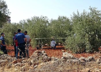 Antalya’da zeytinlik alanda 23 yaşındaki gencin cesedi bulundu