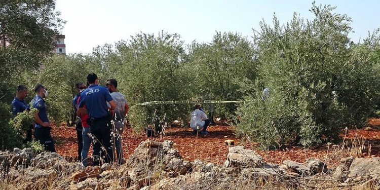 Antalya’da zeytinlik alanda 23 yaşındaki gencin cesedi bulundu