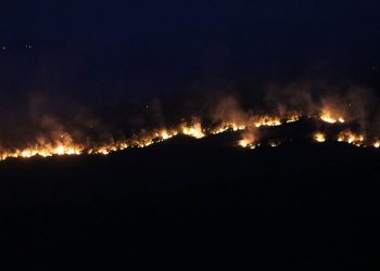 Bulgaristan yangını Edirne sınırına dayandı