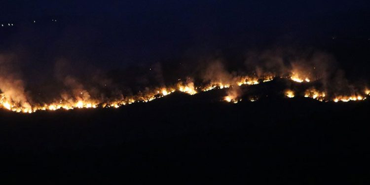Bulgaristan yangını Edirne sınırına dayandı