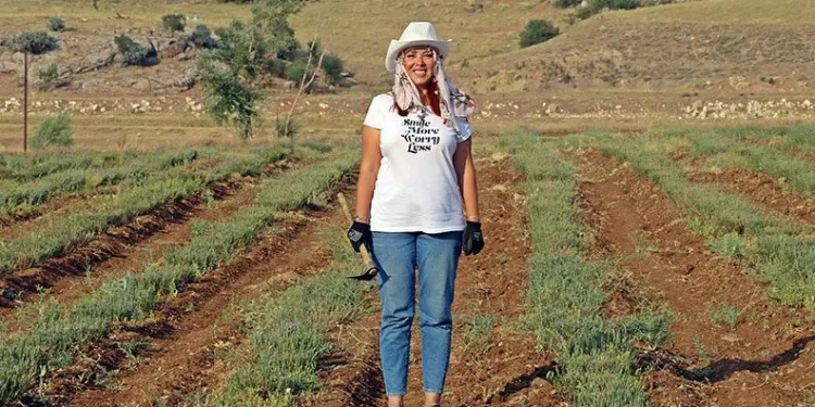 ABD’de savaş uzmanlığını bıraktı, çiftçilik yapıyor