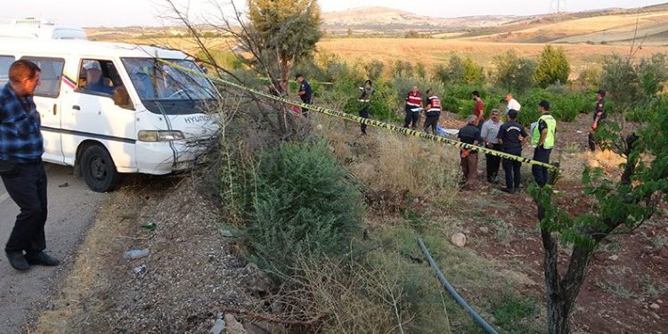 Damat cinayetinde iğrenç iddia