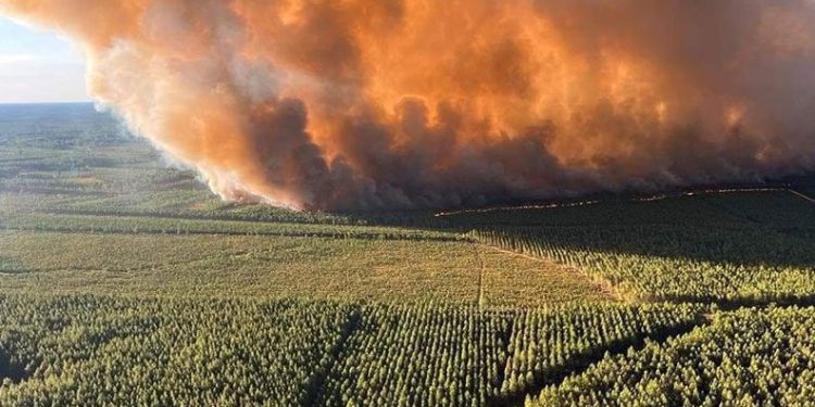 Fransa’nın orman yangını: 6 bin hektar alan kül oldu