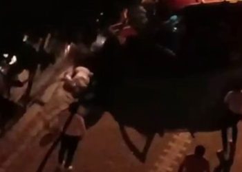 Acemi sürücü dehşet saçtı