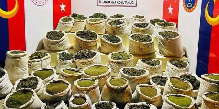 Diyarbakır’da Eren Abluka-34 Operasyonu başlatıldı