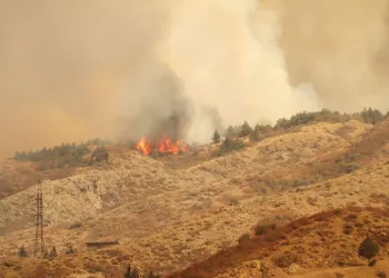 Gürcistan’daki yangına Türkiye’den uçak desteği
