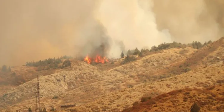 Gürcistan’daki yangına Türkiye’den uçak desteği