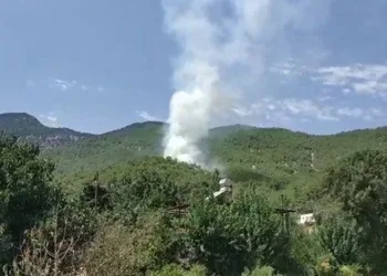 Hatay’daki orman yangını kontrol altında