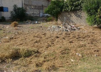 Tarlada 3-4 günlük bir bebek bulundu