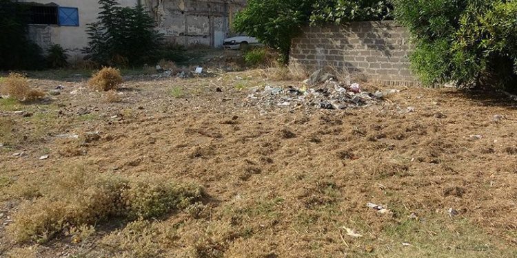 Tarlada 3-4 günlük bir bebek bulundu