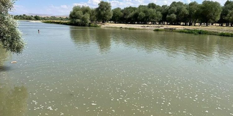 Çocuğunu kurtarırken canından oldu