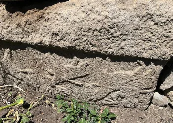 Üzerinde insan figürleri bulunan taş ilgi odağı oldu