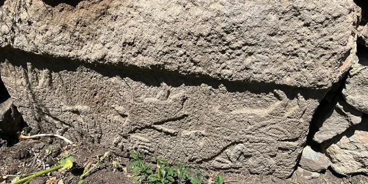 Üzerinde insan figürleri bulunan taş ilgi odağı oldu