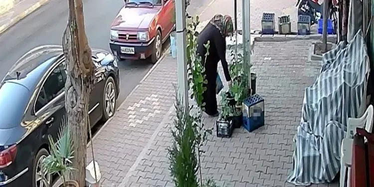 Önce suladı sonra kökünden sökerek çaldı