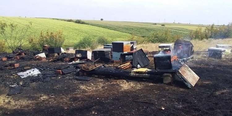 Kırklareli’nde 71 arı kovanı alev alev yandı