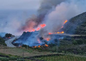 İtalya’nın Pantelleria Adası’nda orman yangını