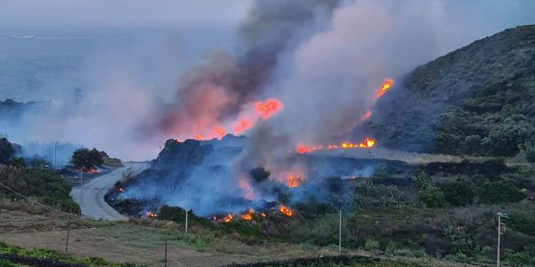 İtalya’nın Pantelleria Adası’nda orman yangını