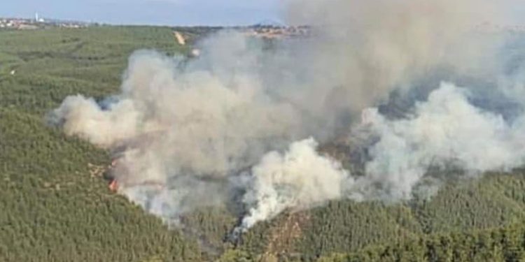 Susurluk’taki orman yangını kontrol altında