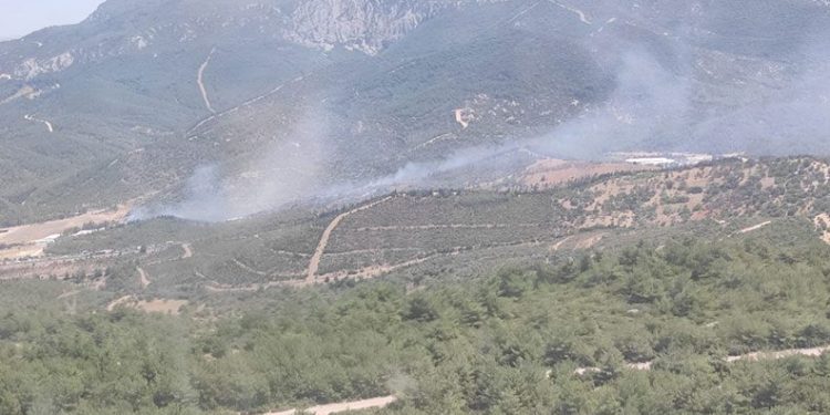 İzmir’deki orman yangını kontrol altında