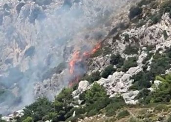 Marmaris’te makilik alanda yangın çıktı