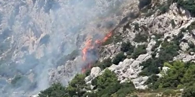 Marmaris’te makilik alanda yangın çıktı