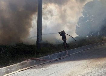 Sakarya’da ormanlık alanda korkutan yangın