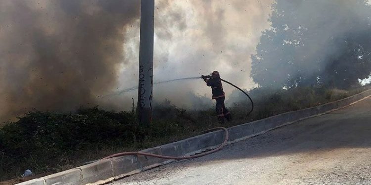 Sakarya’da ormanlık alanda korkutan yangın
