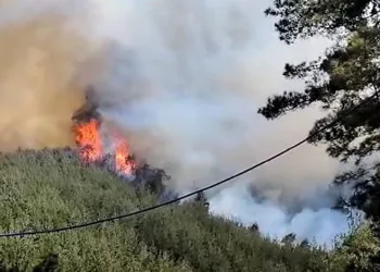Kahramanmaraş’taki yangında 35 hektar ormanlık alan zarar gördü