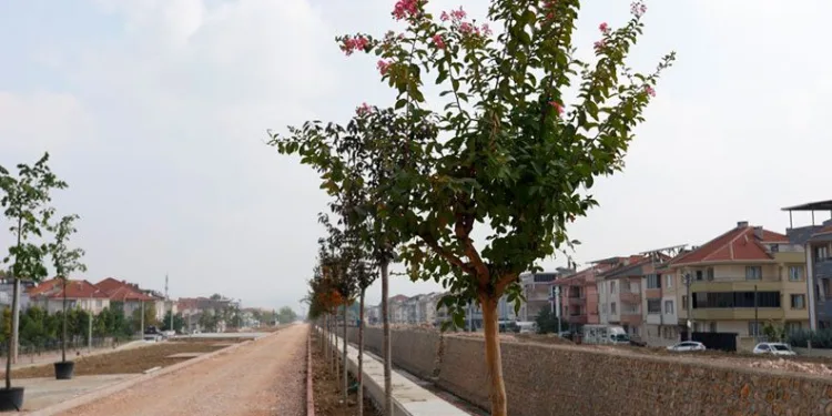 Kanal İnegöl yeşilleniyor