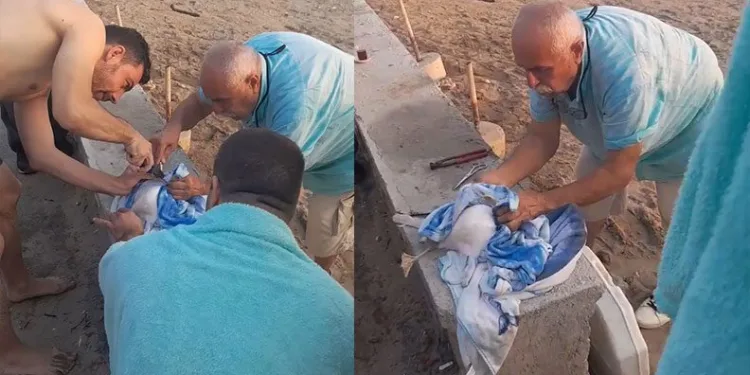 Bursa’da misinaya takılan martıyı vatandaş kurtardı