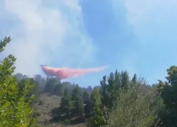 Antalya’daki orman yangını kısmen kontrol altında