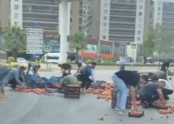 Bursa’da dökülen şeftaliler için herkes seferber oldu