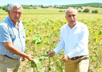 Çiftçiye sıfır faizli kredi üreticilere nefes aldıracak