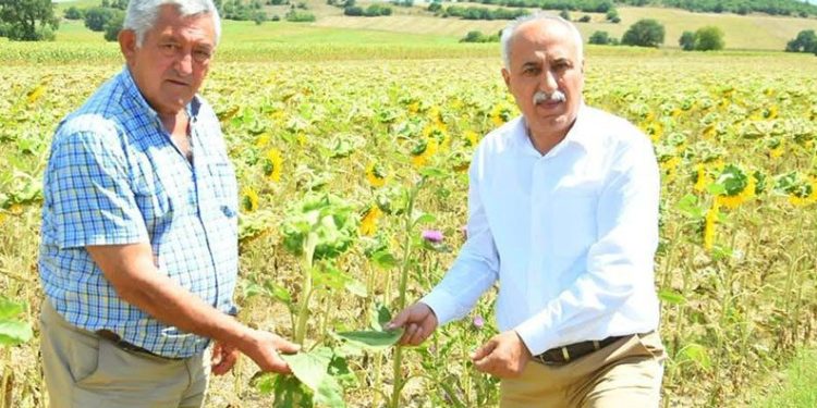 Çiftçiye sıfır faizli kredi üreticilere nefes aldıracak