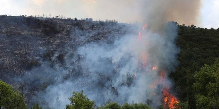 Kocaeli’de ormanlık alanda yangın