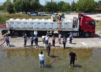 Göl ve göletlere 2,5 milyon sazan bırakıldı