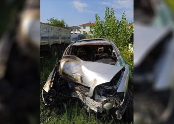 Sakaraya’da ağaca çarpan otomobil alev aldı: 1 yaralı