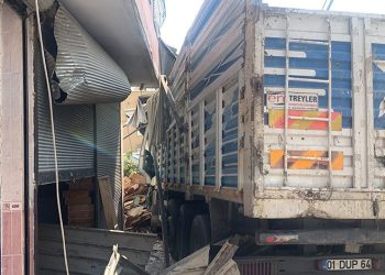 Kamyon, oturan adama çarpıp odunluğa girdi