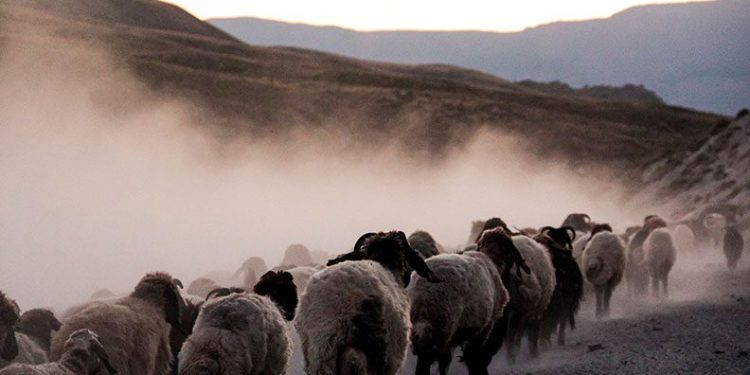 Nemrut Kraterinde muhteşem ‘tozlu’ yolculuk