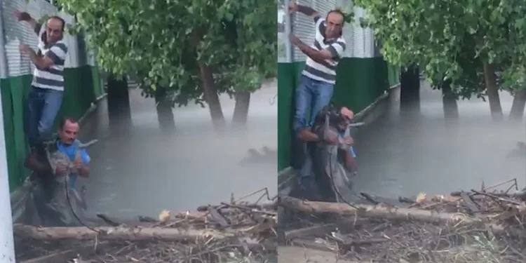 Bursa’da selde mahsur kalan köpeği ekipler kurtardı