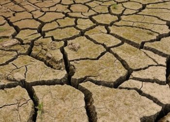 İngiltere’de kuraklık ilan edildi