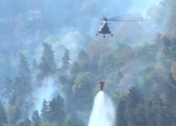 Türkiye’den Gürcistan’daki orman yangınına destek