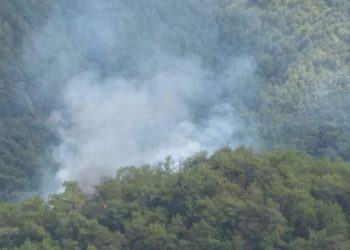 Kazdağları’nda orman yangını