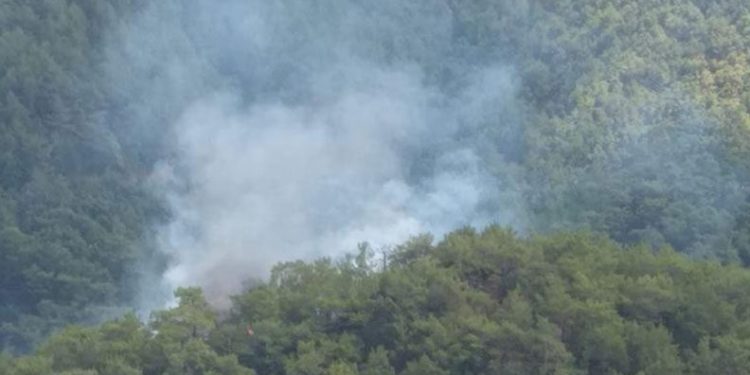 Kazdağları’nda orman yangını