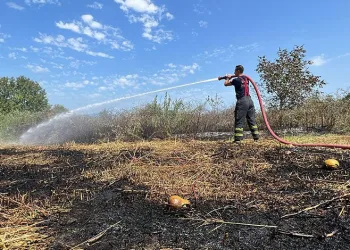 Düzce’de kabak tarlasında yangın