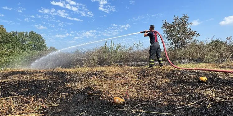 Düzce’de kabak tarlasında yangın