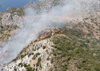 Marmaris’teki orman yangını ile ilgili 1 gözaltı